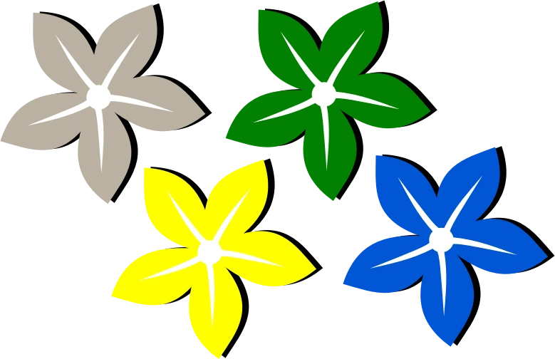 Flower - Flor